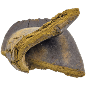 Flower of Beqaa Hash